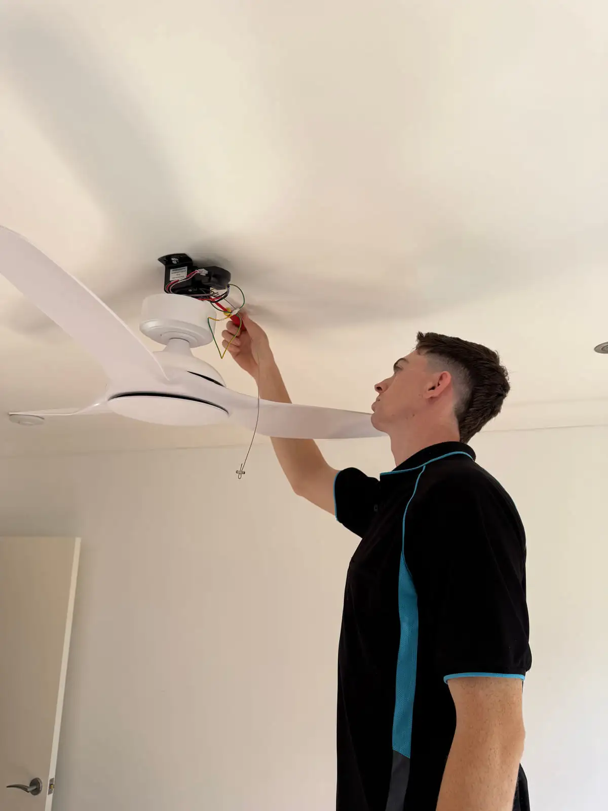 An AWSM electrician fitting a blade to a new ceiling fan in a freshly painted living room